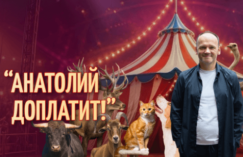 🔥"Анатолий доплатит!" Цирк-шапито "13 метров" за 20р в Пинске